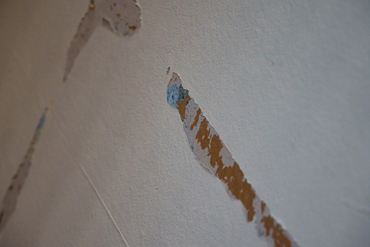 Water Extraction service in Rialto, CA